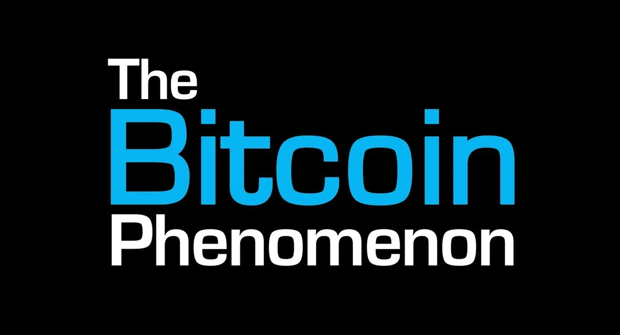 The Bitcoin Phenomenon