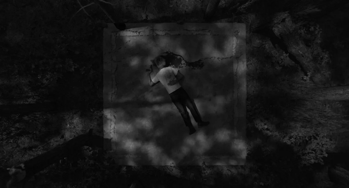 Variations on Violence