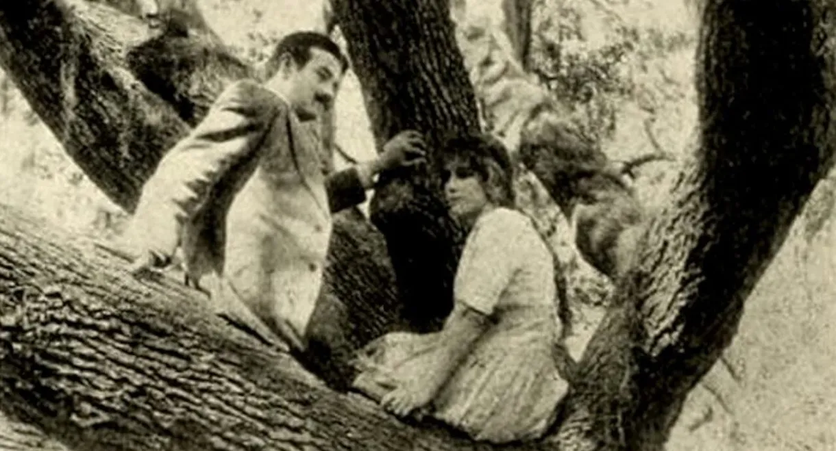 The Girl of the Grove