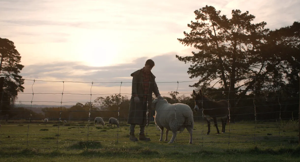 Just an Apartment Please