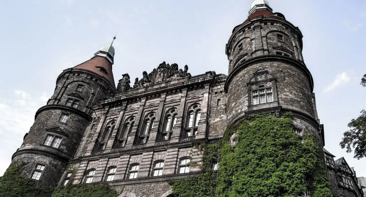 Daisy. Wspomnienie minionego świata