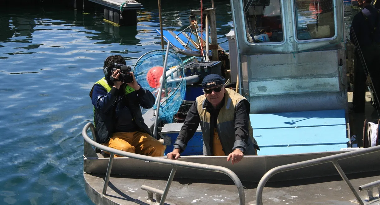 On the Road in France