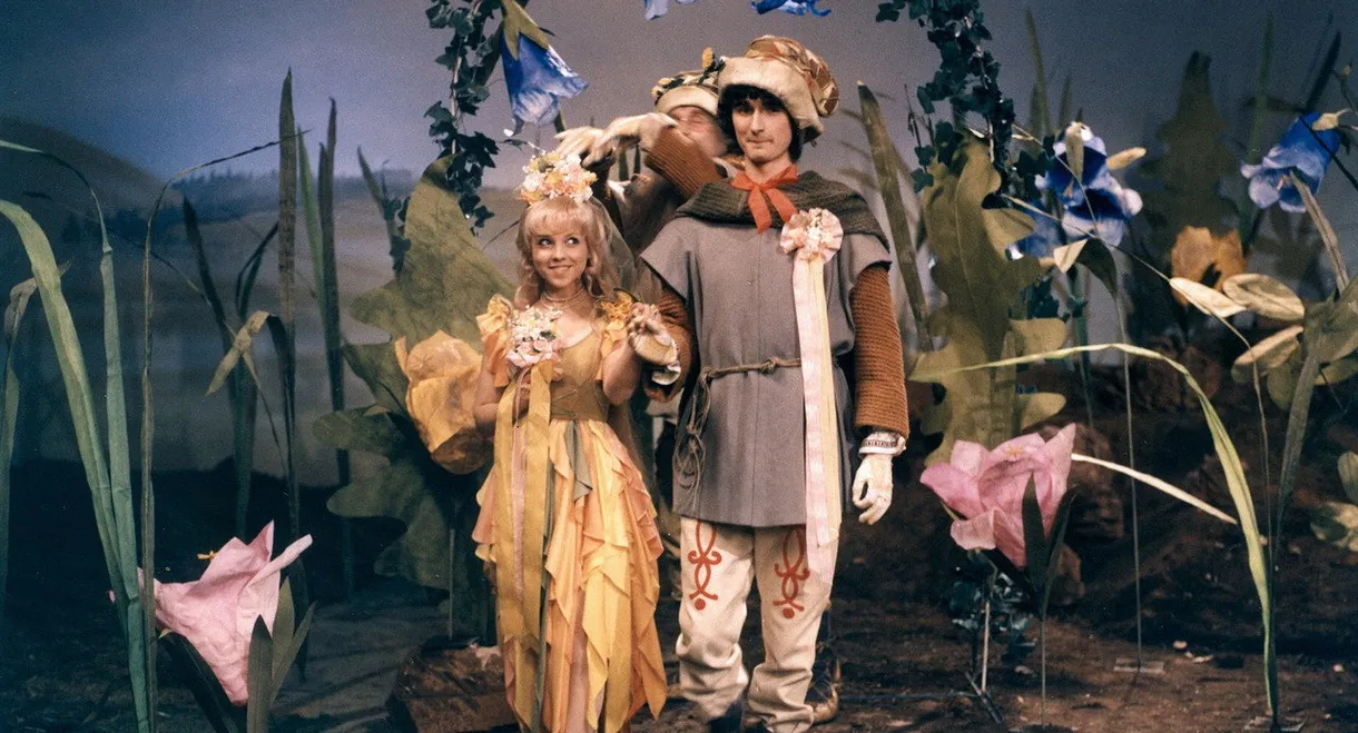 Pohádka z šafránové louky