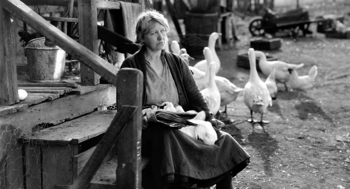 The Goose Woman