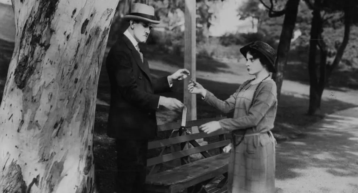 Plain and Fancy Girls