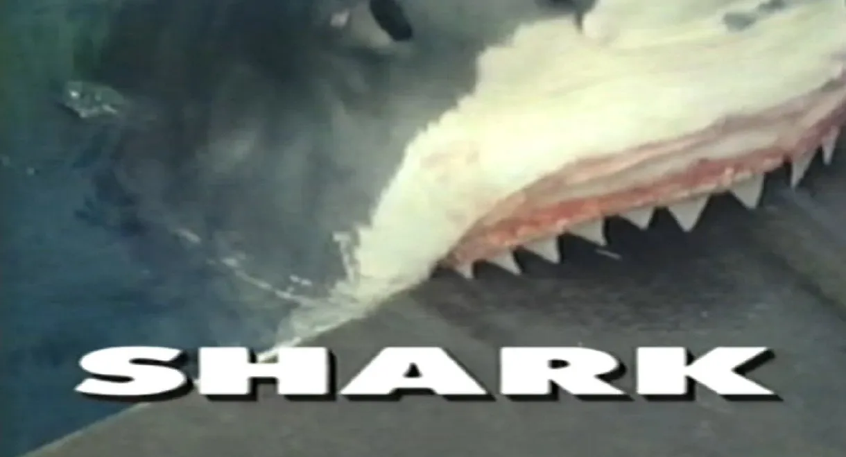 Predators of the Wild: Shark