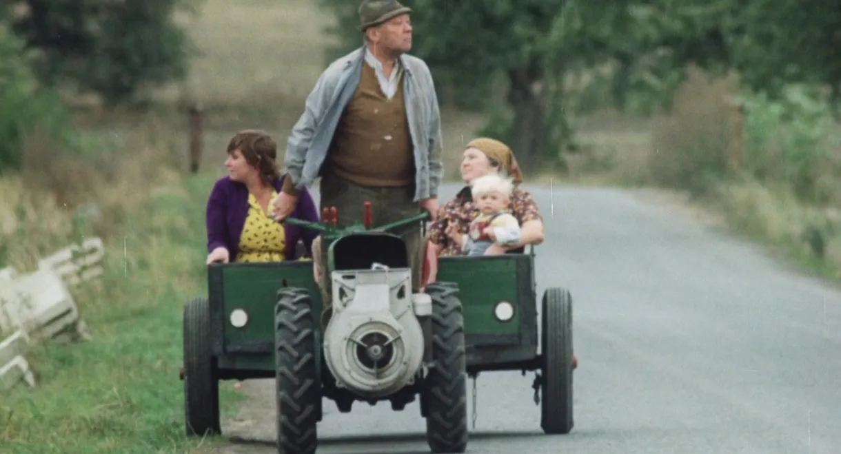 The Snowdrop Festival