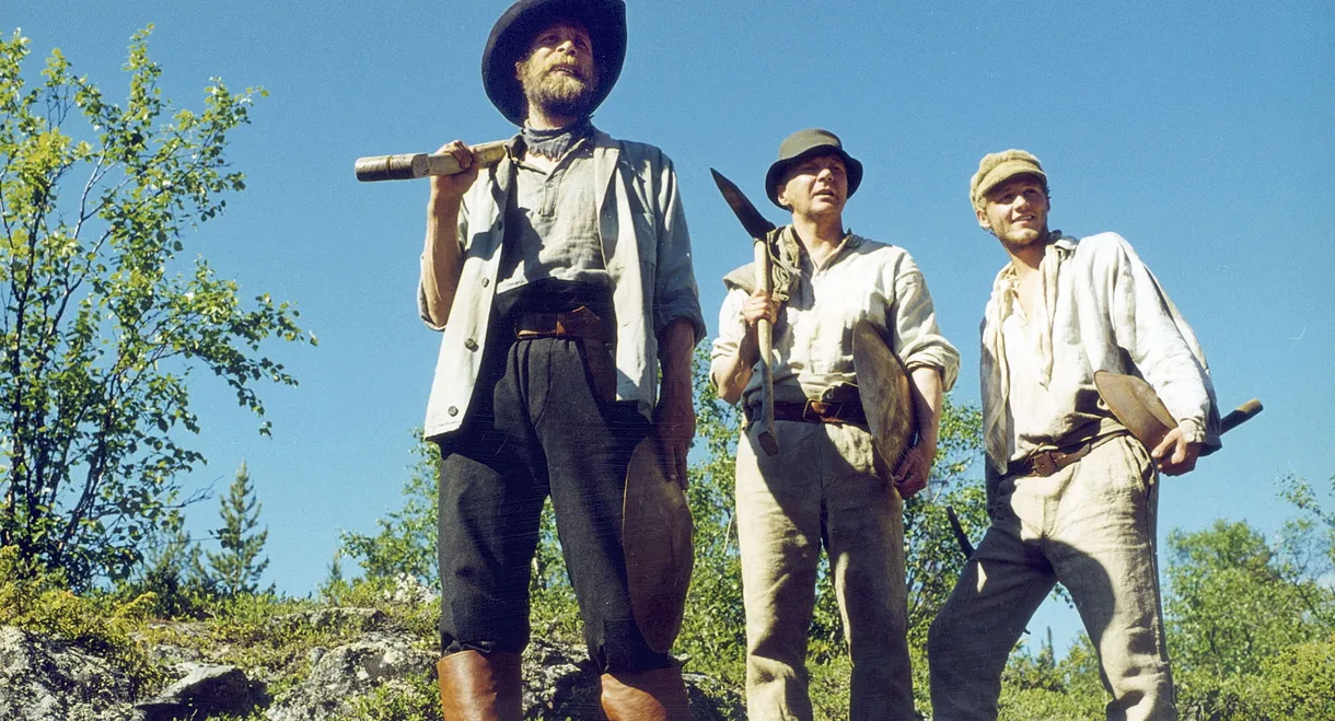 Lapin kullan kimallus