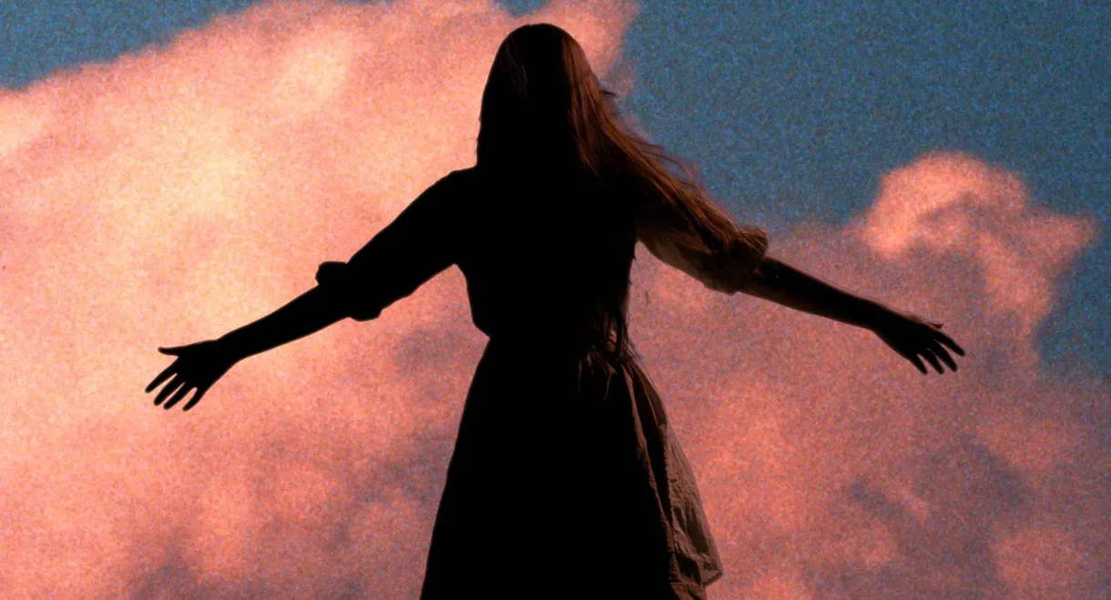 Inventor Crazybrains and the Girl Called Bird