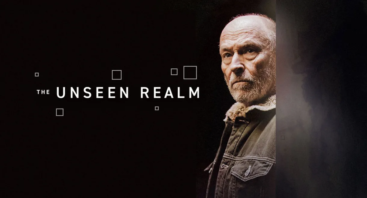 The Unseen Realm