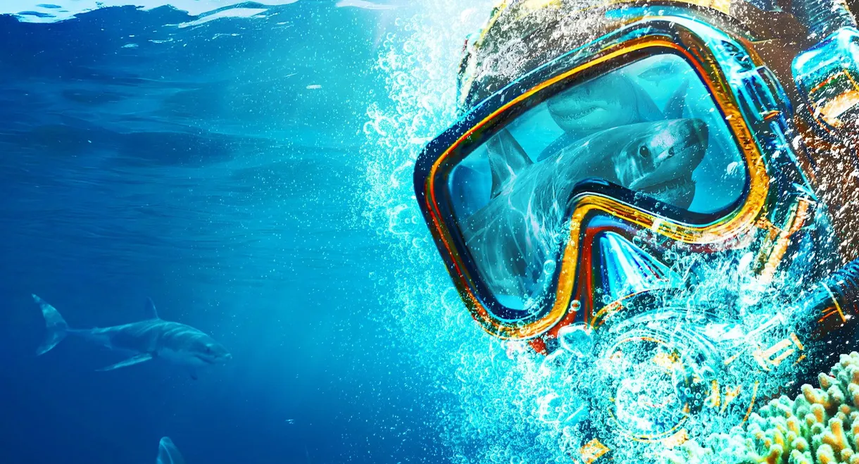 Sydney Harbor Shark Invasion