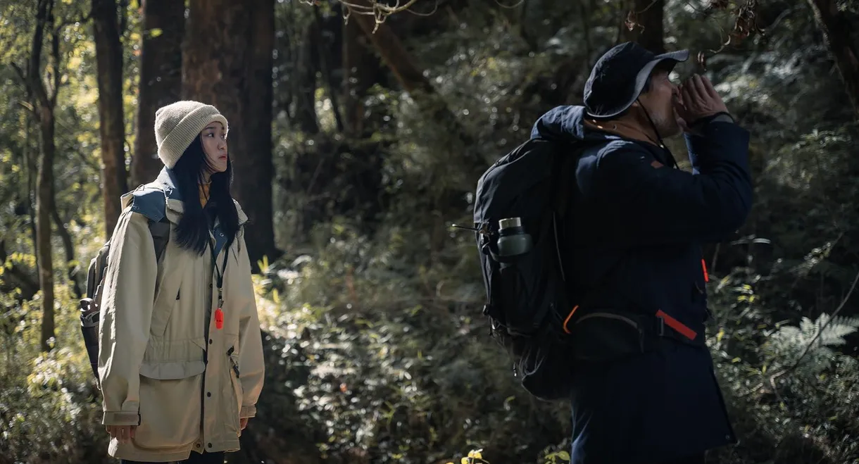 The Sound of Mountain