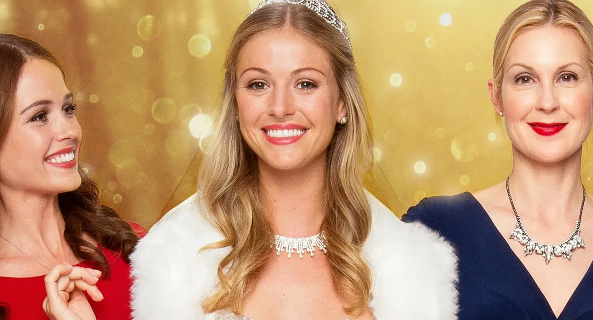 Christmas Wedding Planner