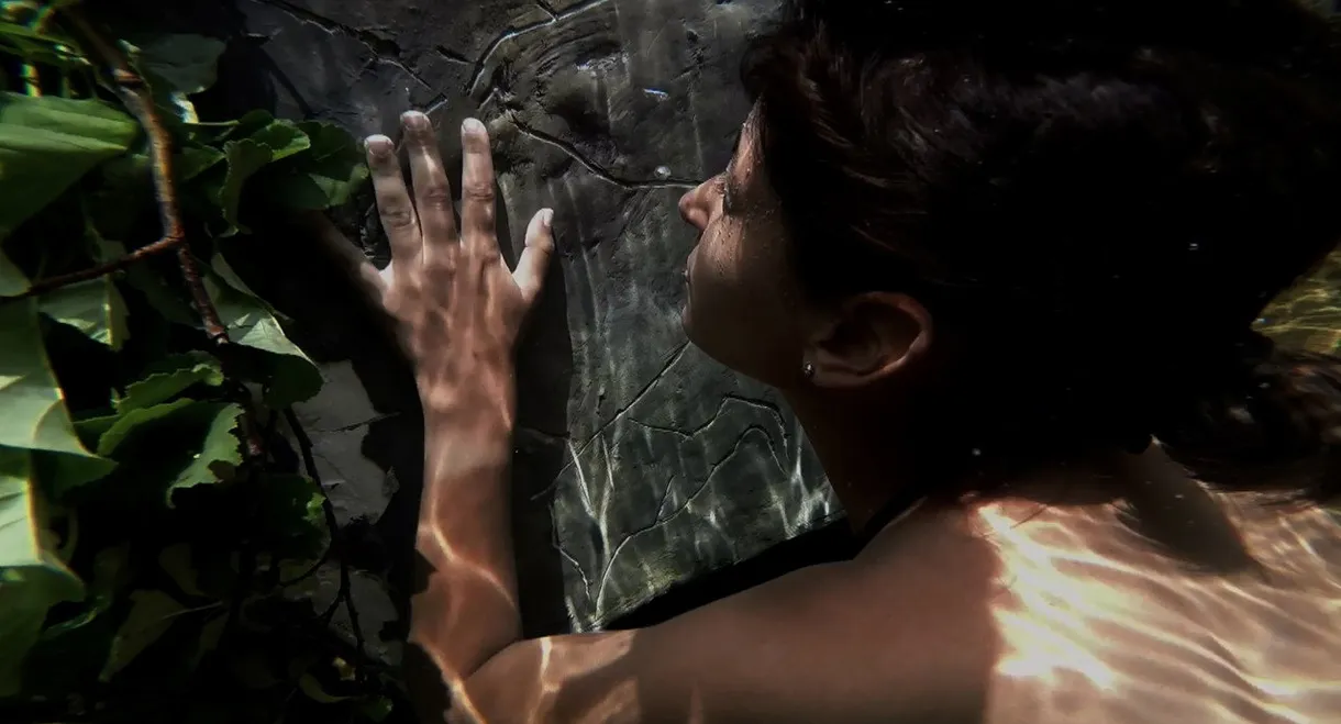 A Arte da Luz Tem 20.000 Anos