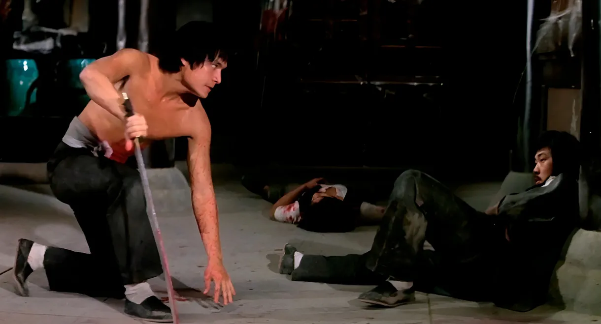 The New Shaolin Boxers