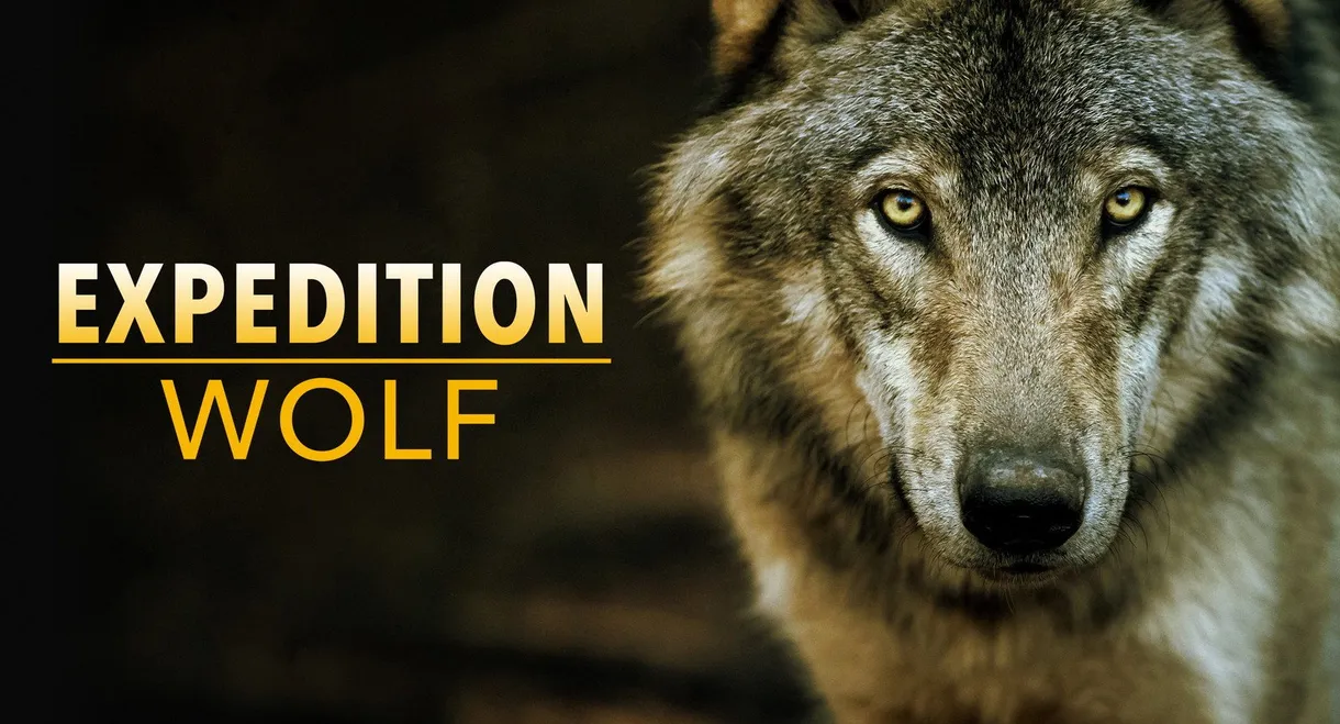 Expedition Wolf