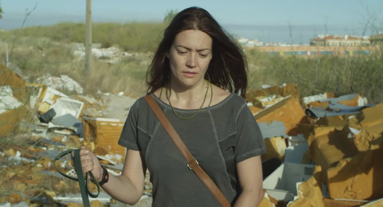 The City and The Sun