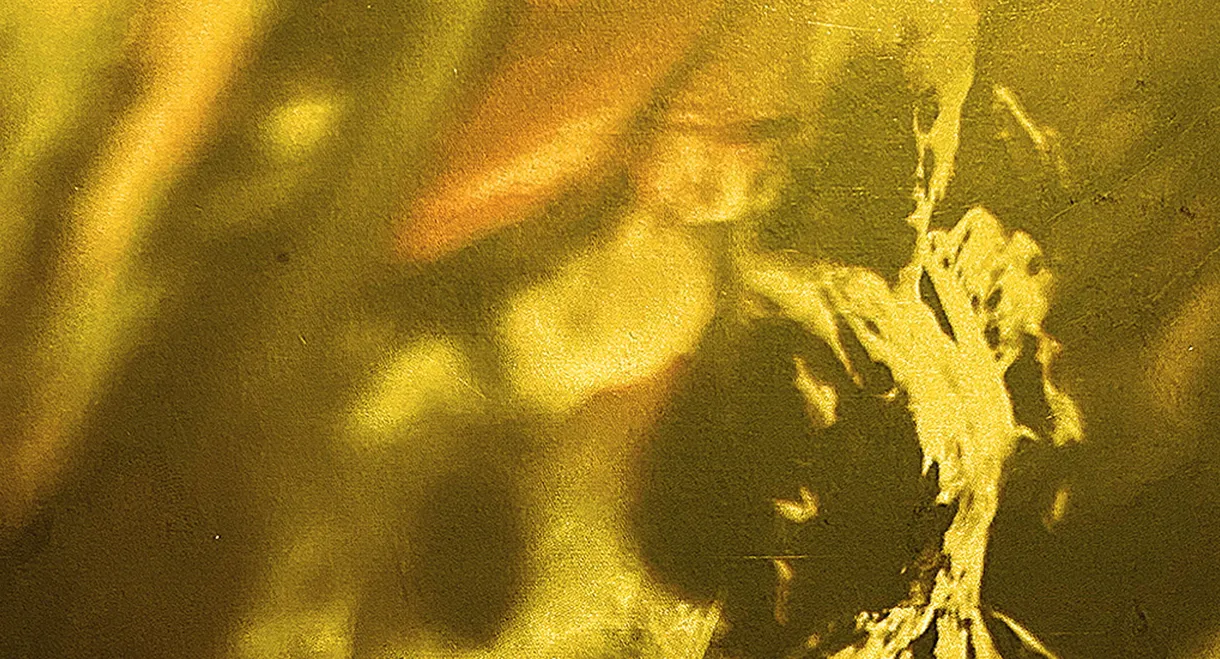 Karin Bloemen: Karin in Concert