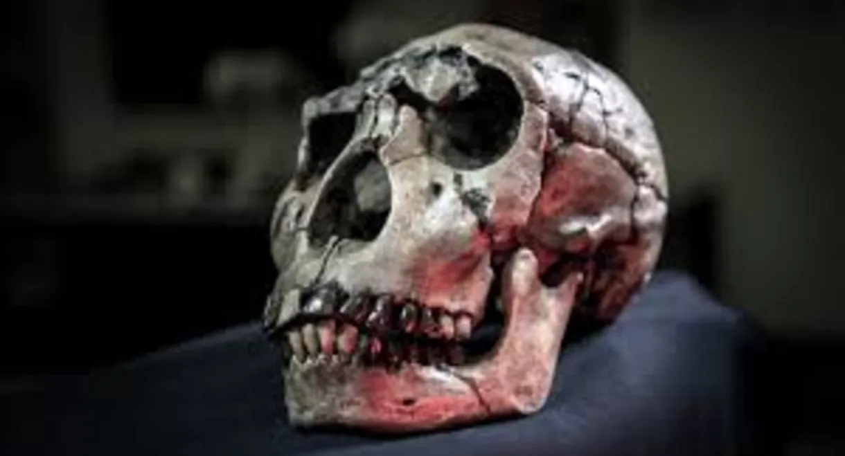 Atapuerca: El Misterio De La Evolucion Humana