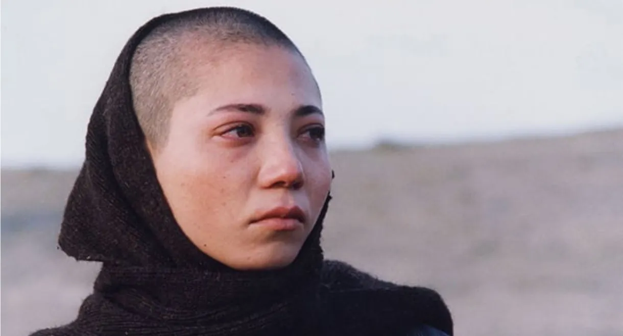 Daughters of the Sun