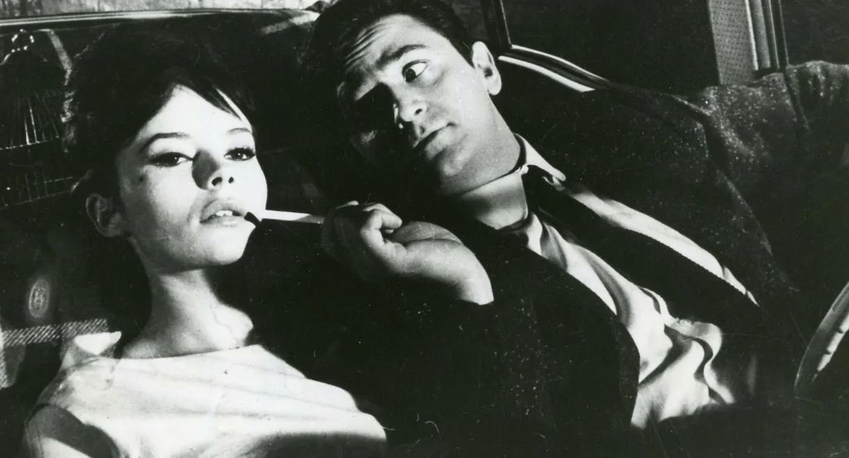 It Happened All Night