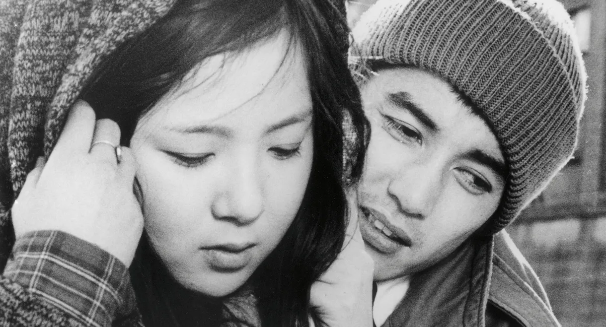 Oh Seagull, Have You Seen the Sparkling Ocean? An Encounter