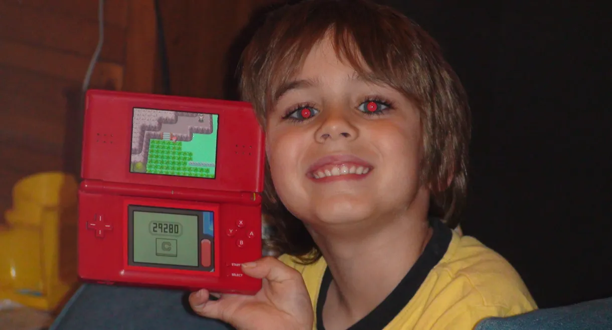 The Life of a Handycam