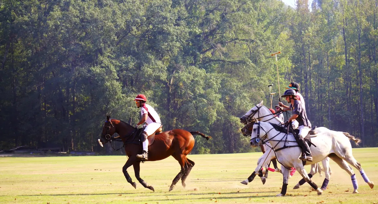 From Rodeo to Polo: The 1st HBCU Polo Team