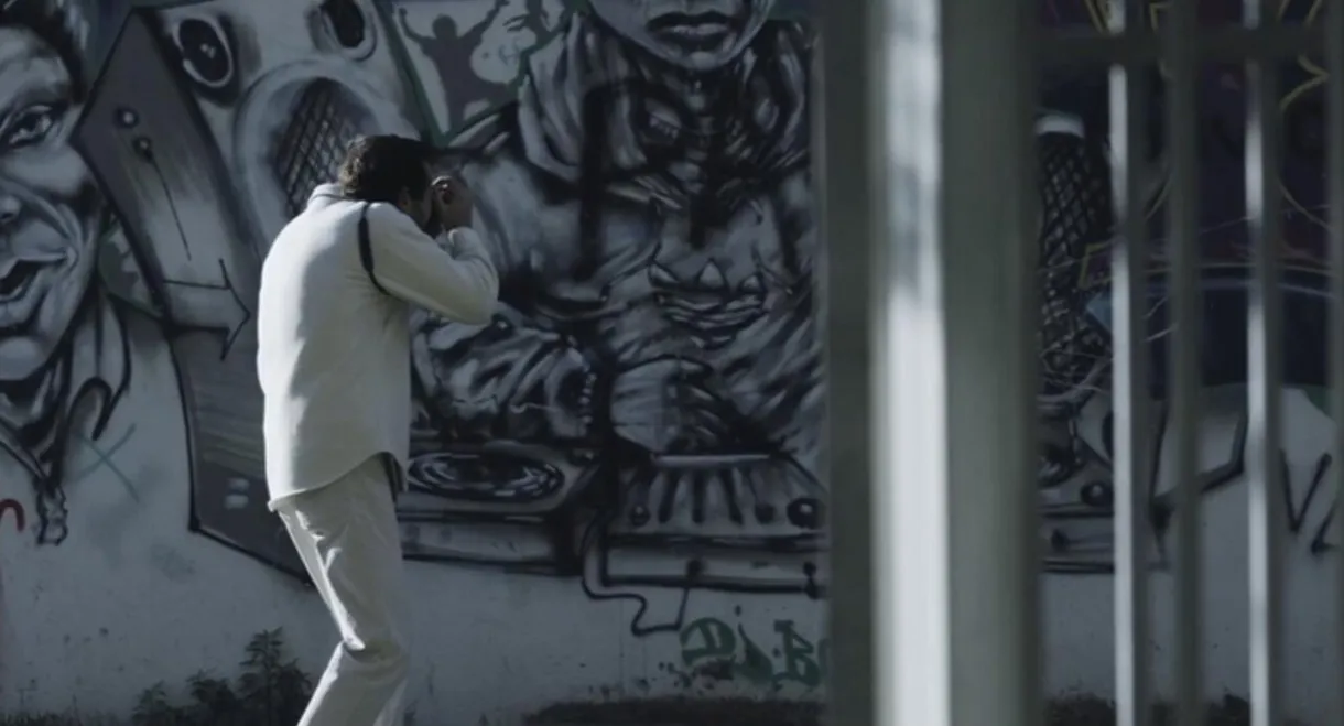 Dans ma forêt de ciment