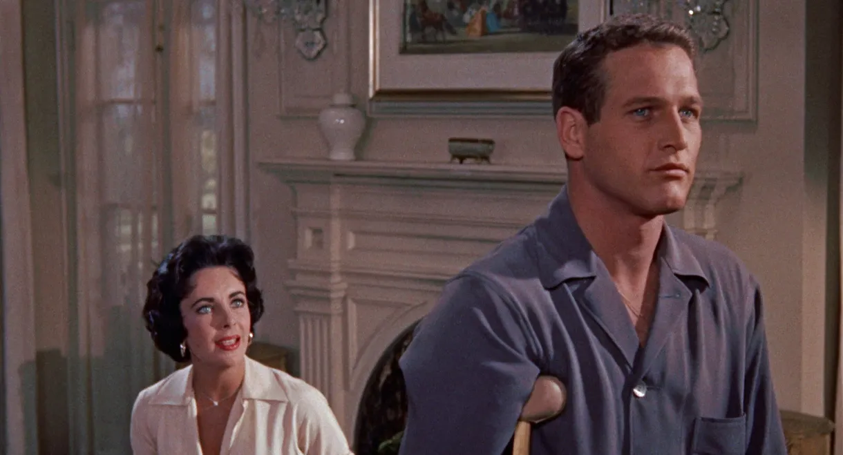 Cat on a Hot Tin Roof