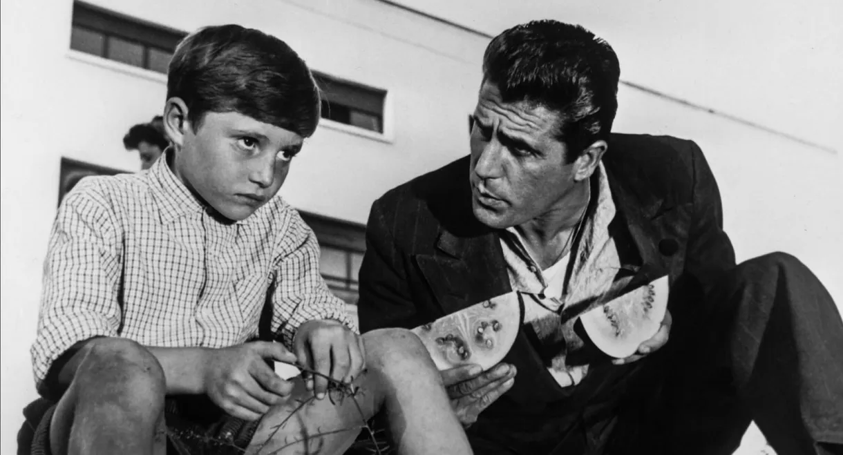 The Window to Luna Park