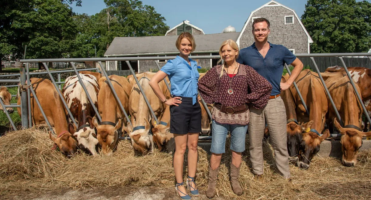 Katie Fforde: Wachgeküsst