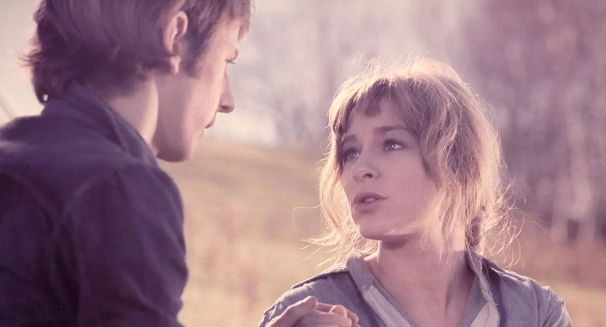 The True Nature of Bernadette