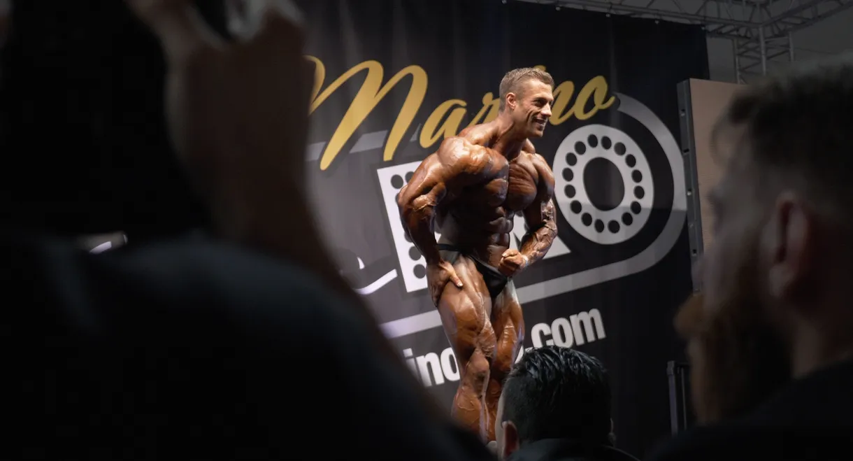 Tim Budesheim - Homecoming