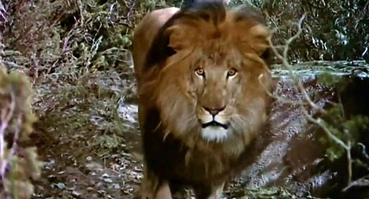 The Lion and the Horse