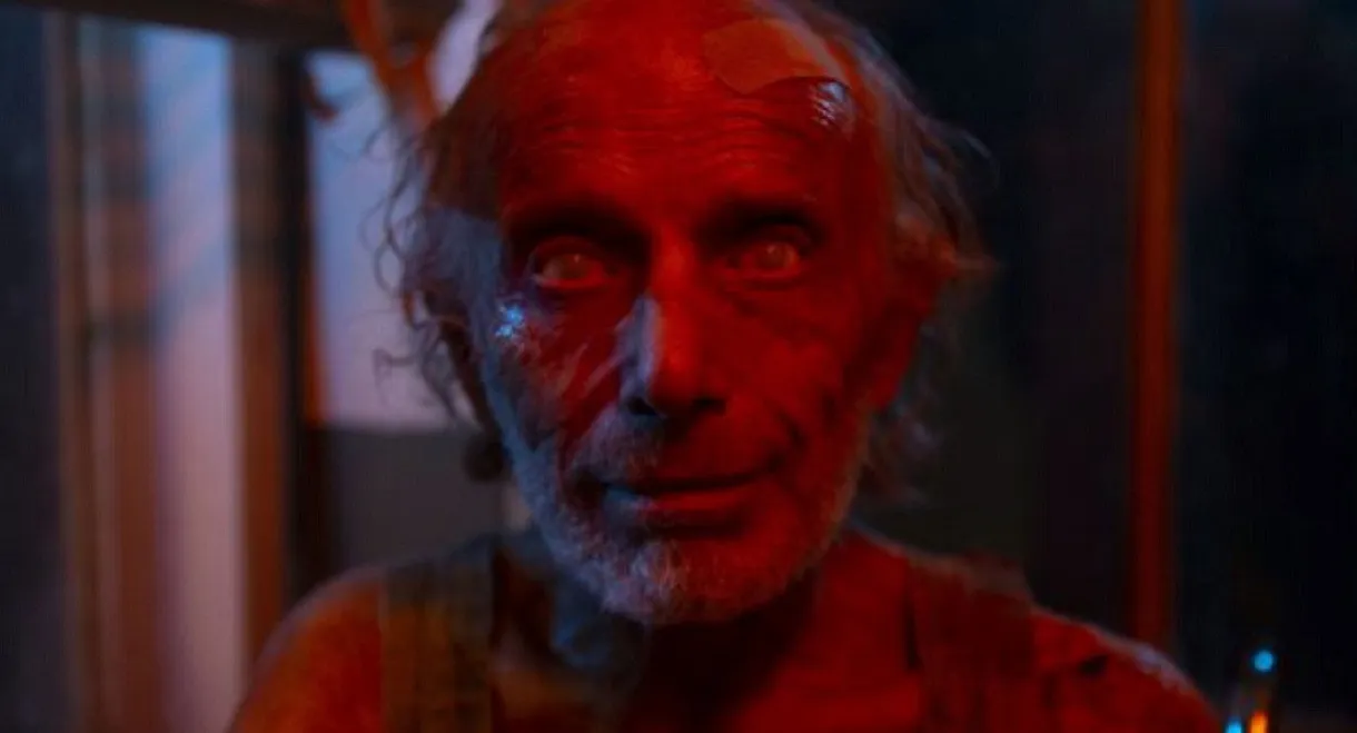 The Darkness of the Road