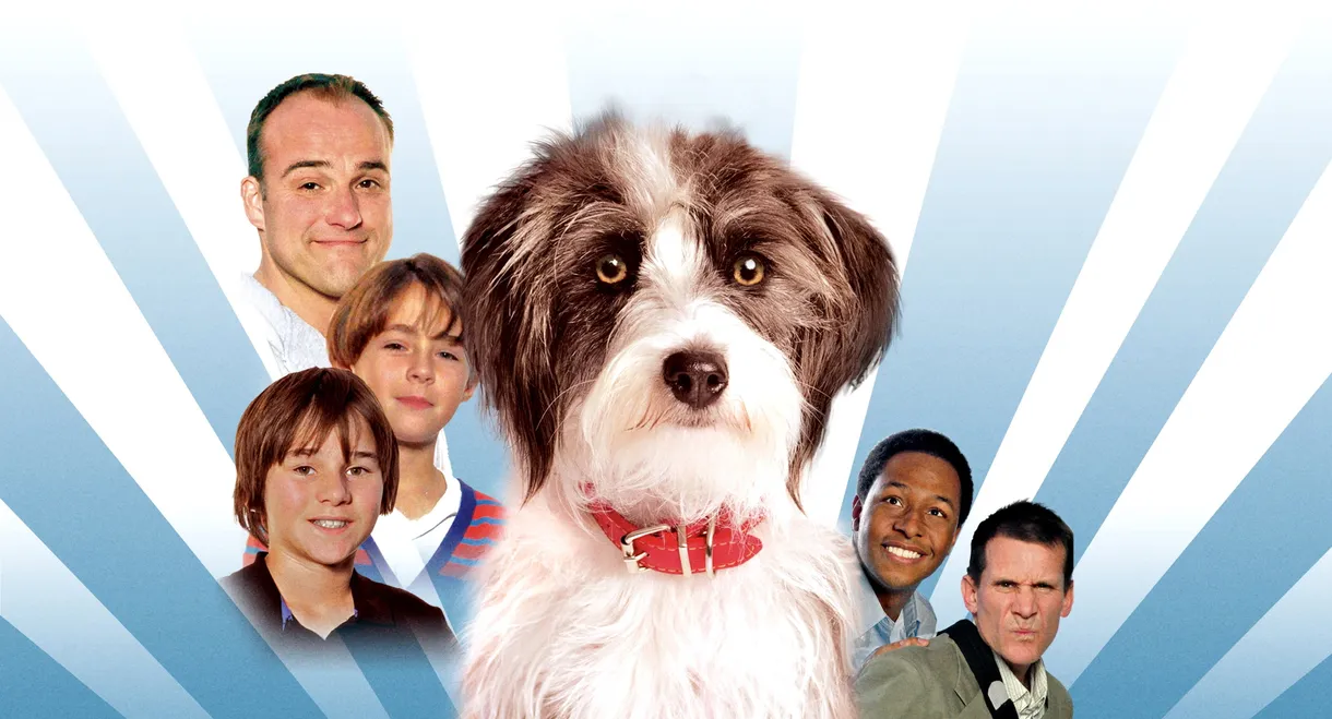 Sox: A Family's Best Friend