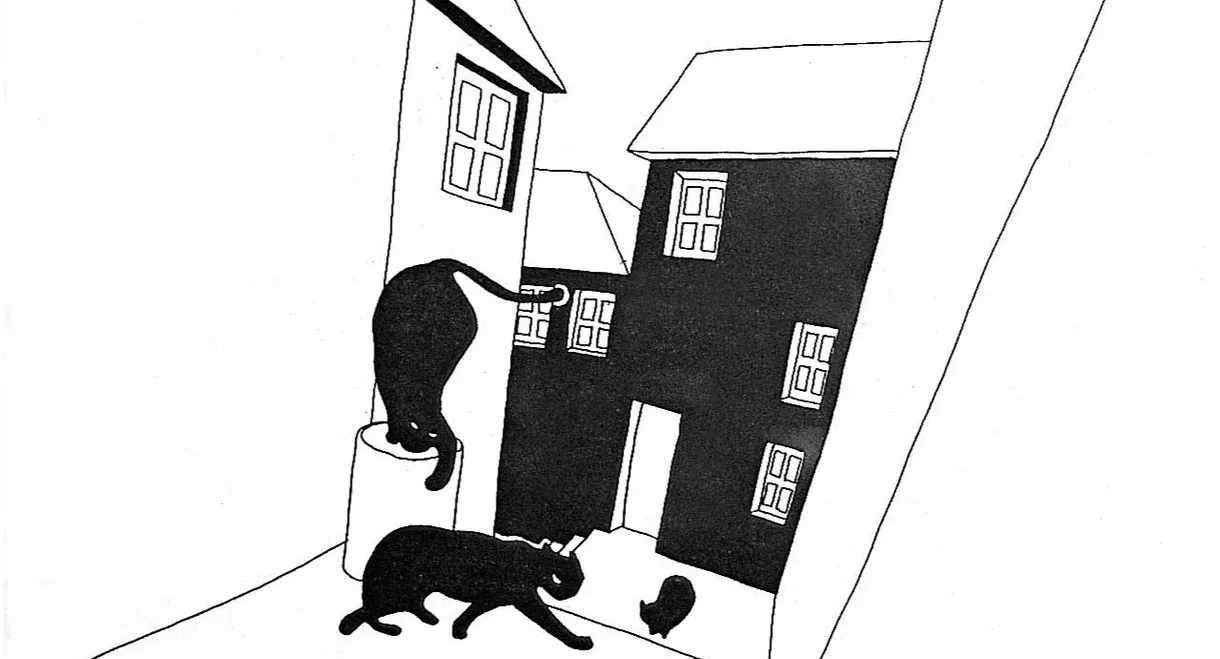 Tale About the Cat and the Moon