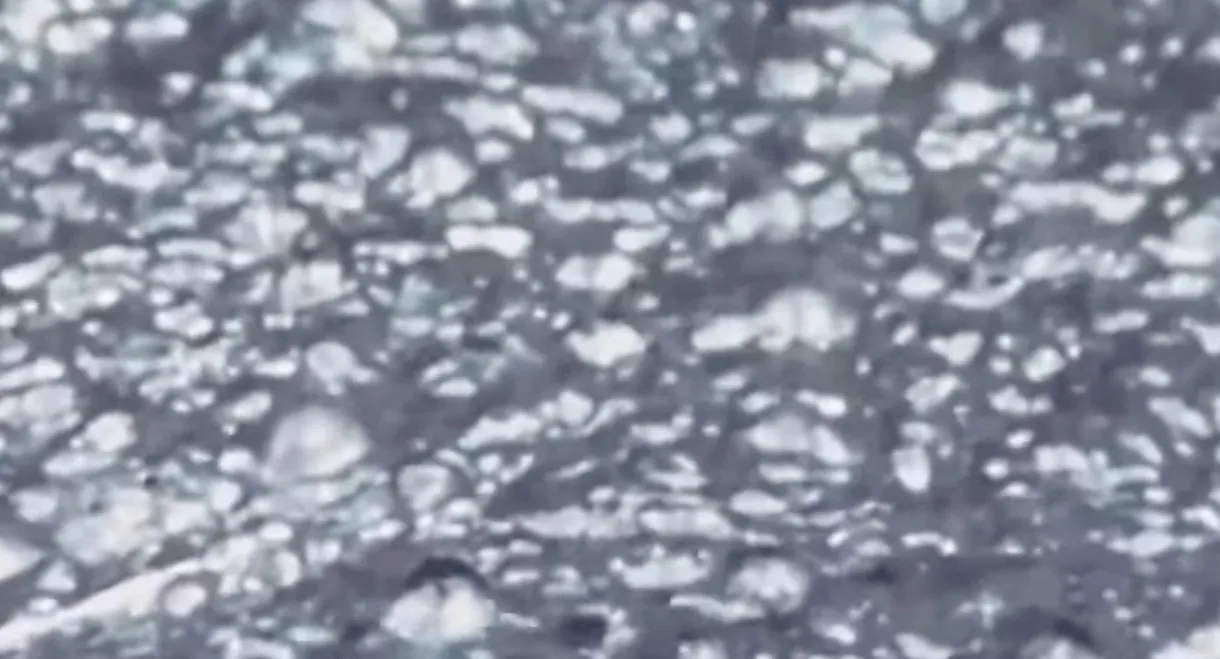 Saint-Étienne : ville secrète