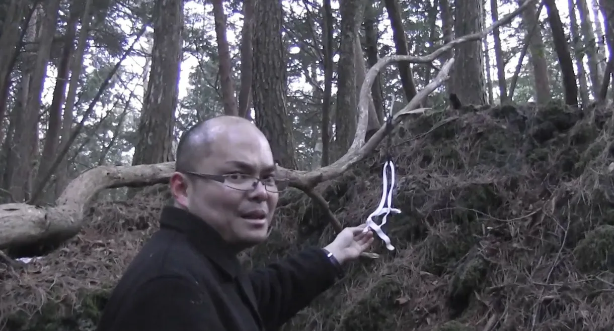 Aokigahara Jukai: Complete Document 2017 - The Curse You Don't Know