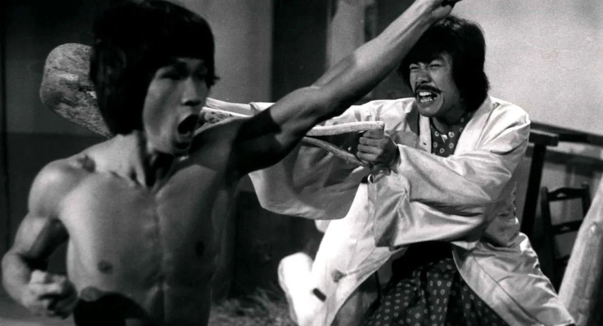 Bruce and the Dragon Fist