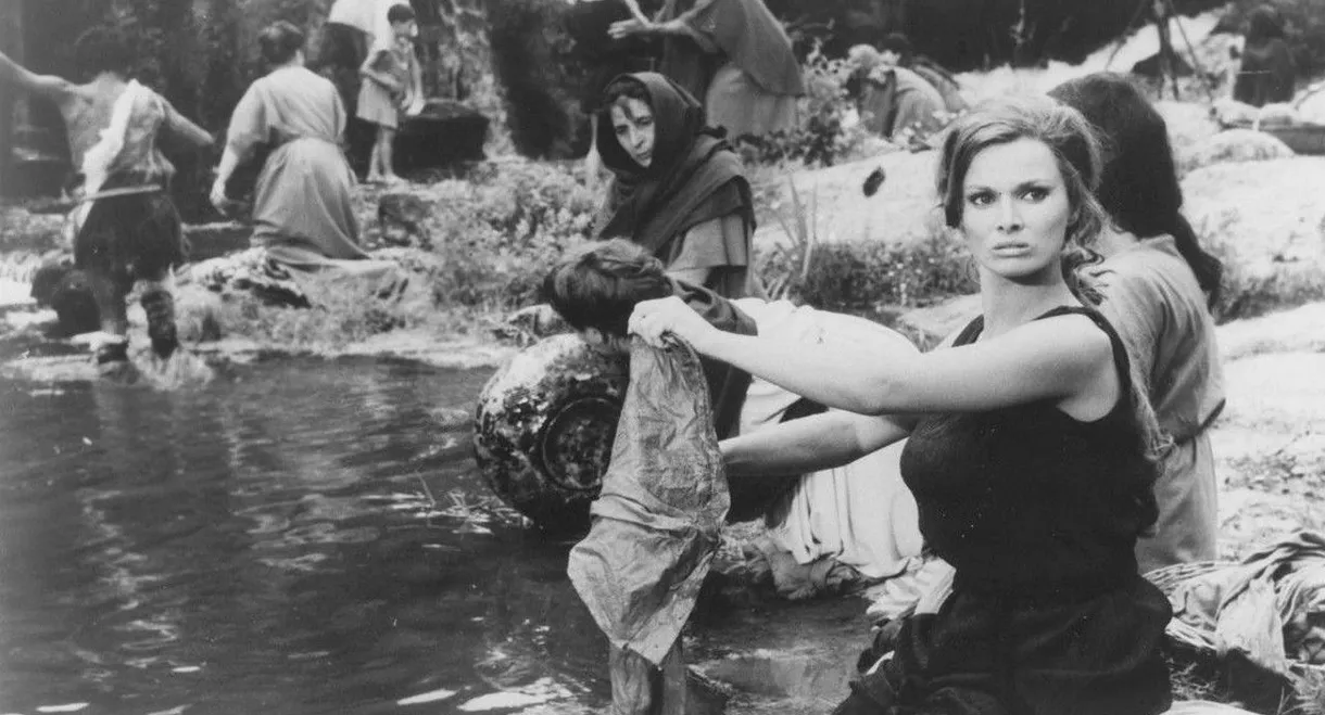 The Revenge of the Gladiators