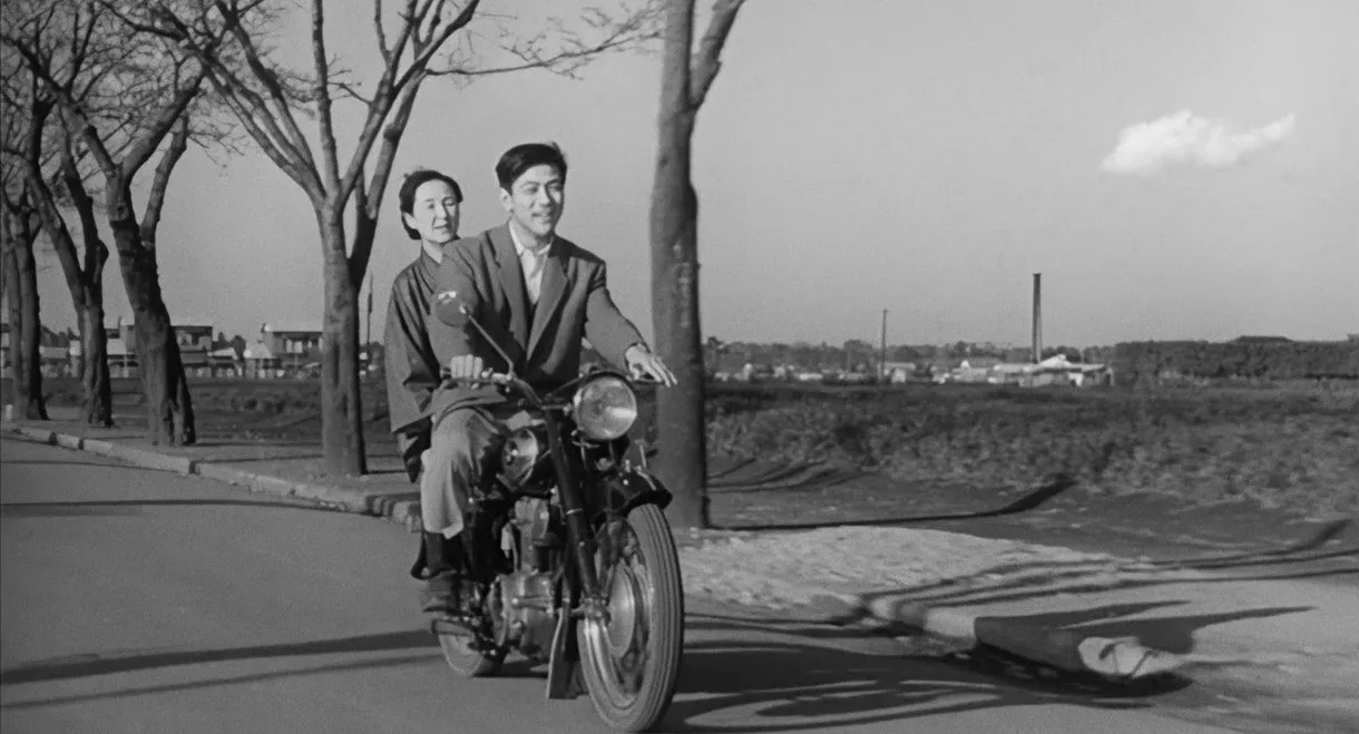 The Sentimental Idiot