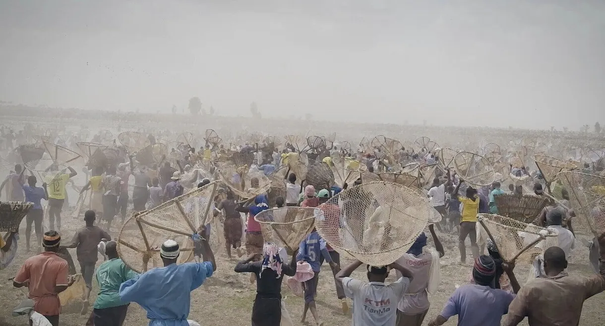 I bɔyɔrɔ, d’où viens-tu ? 