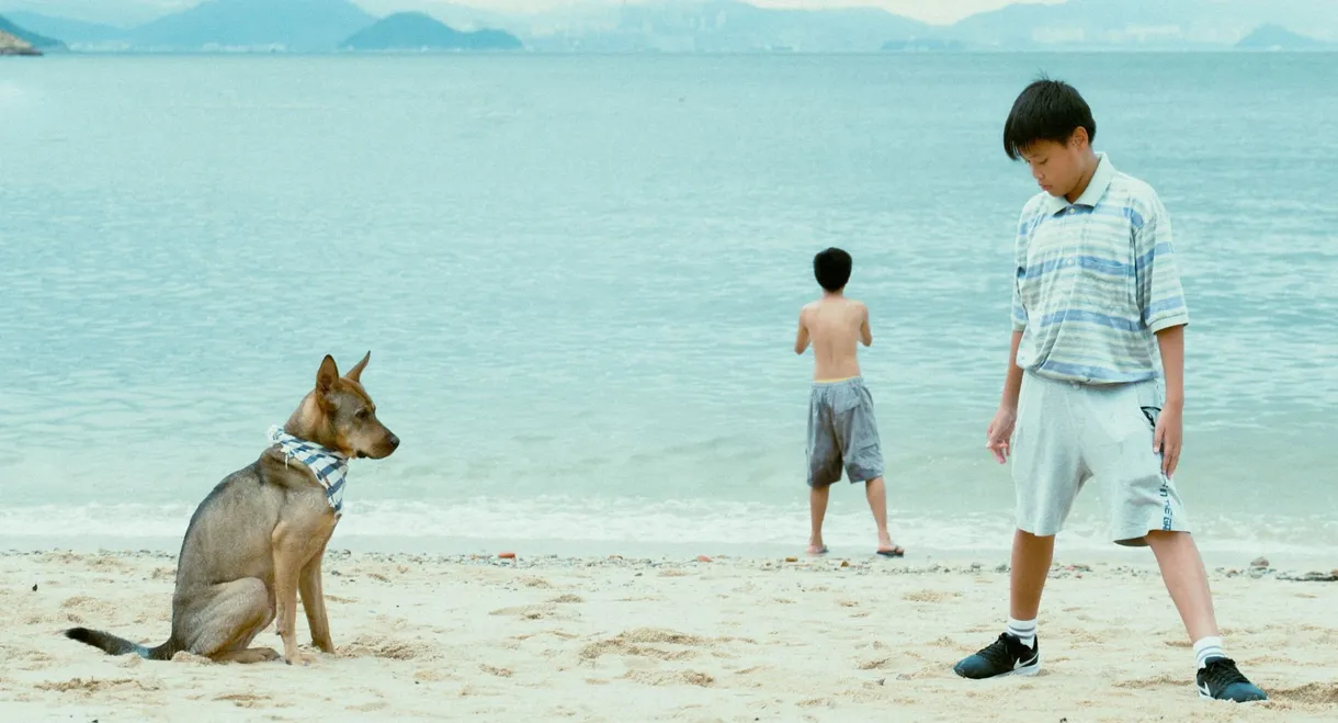 The Perks of Being Wild