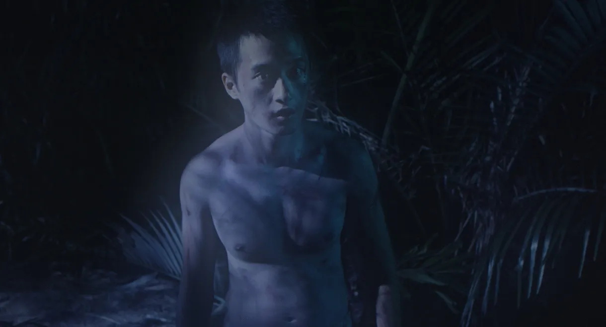 Green Grass, Pale Fire