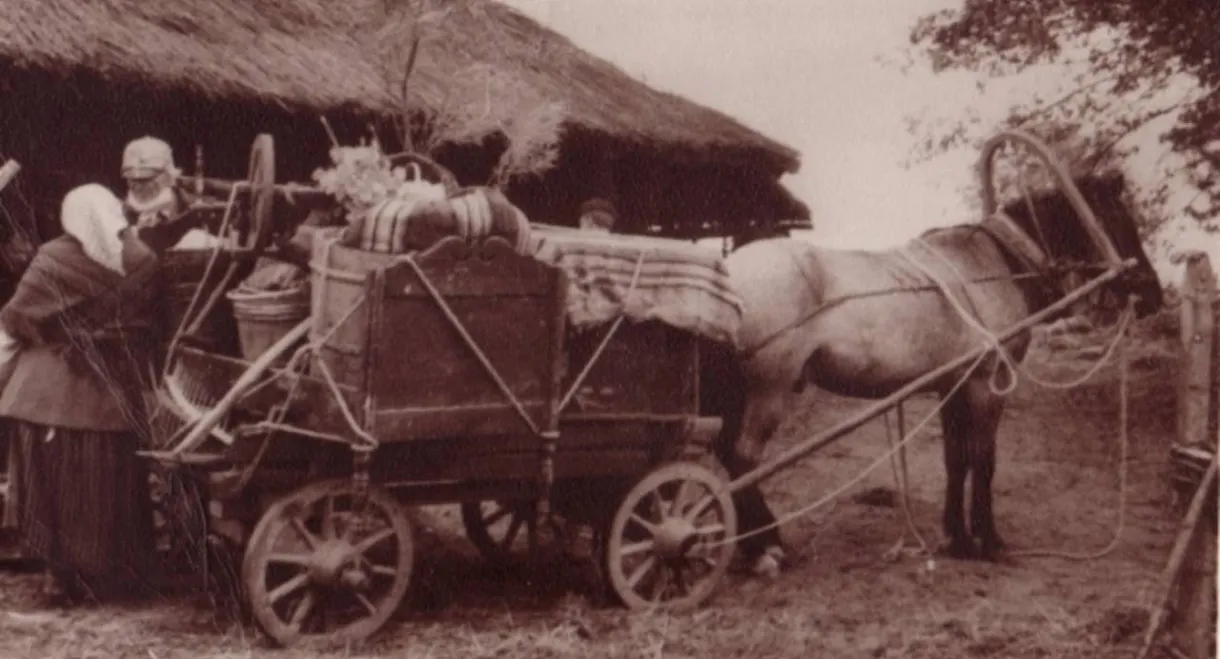 The Times of the Surveyors