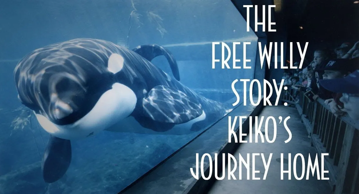 The Free Willy Story - Keiko's Journey Home