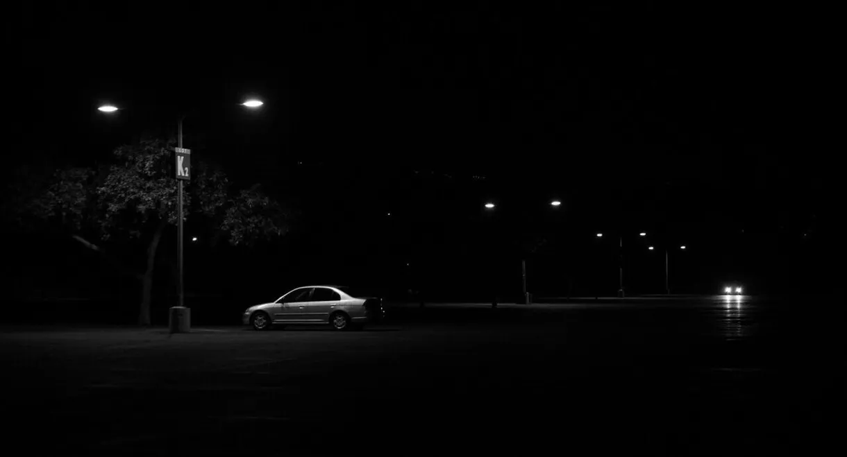 In-Between the Mountains and the Ocean