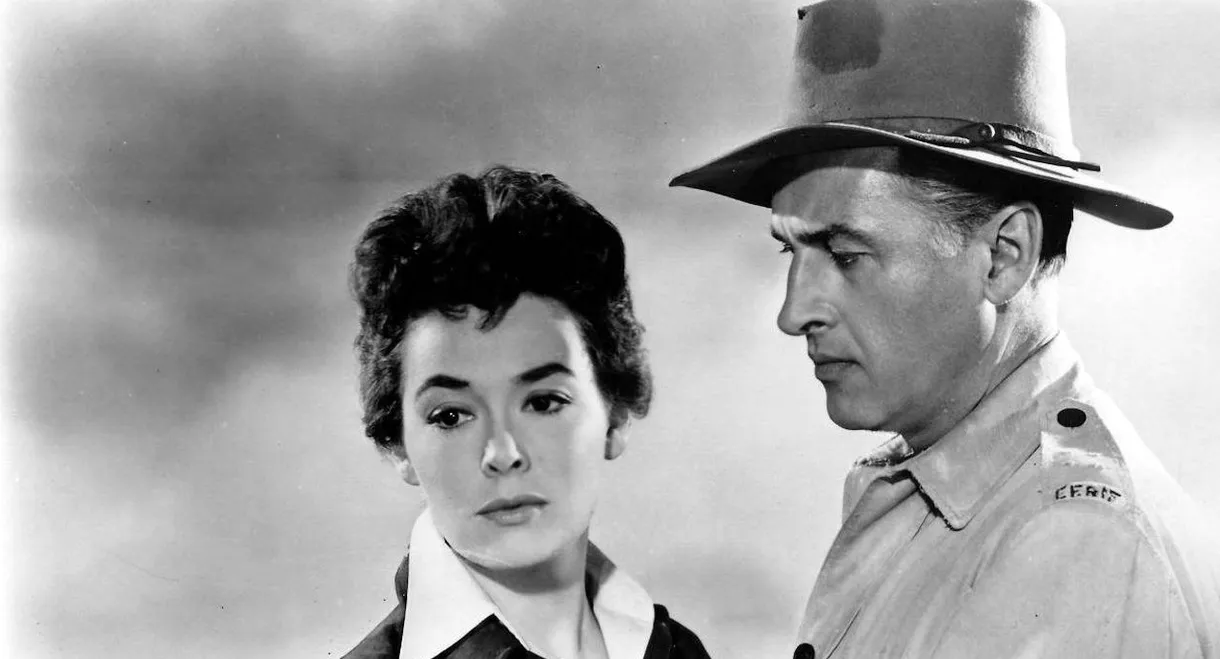 Harry Black and the Tiger